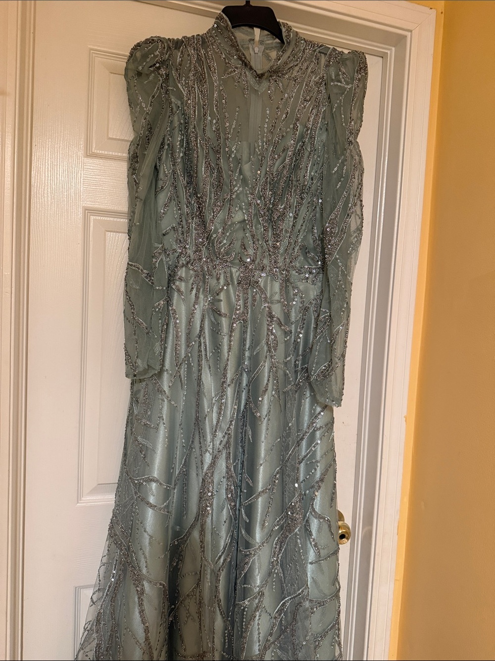 Long Sleeve Mint Green Beaded Evening Gown